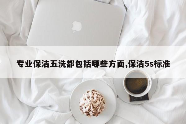 专业保洁五洗都包括哪些方面,保洁5s标准