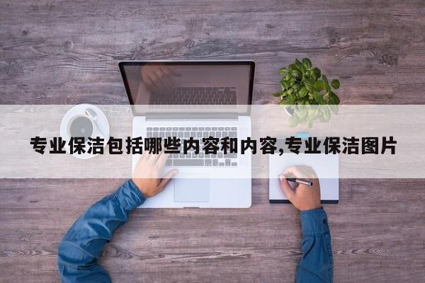 专业保洁包括哪些内容和内容,专业保洁图片