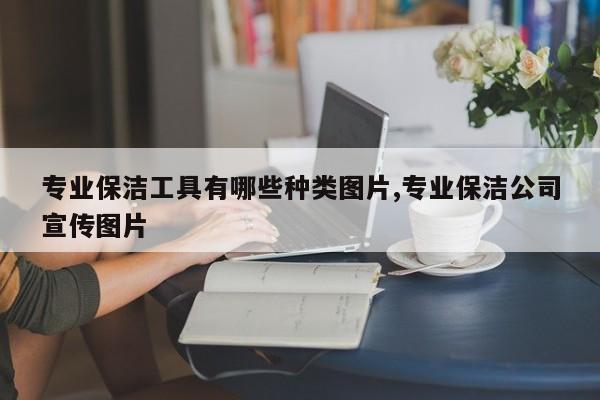 专业保洁工具有哪些种类图片,专业保洁公司宣传图片