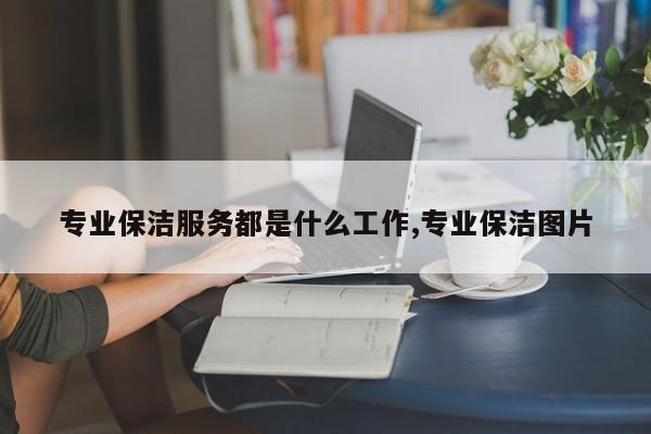 专业保洁服务都是什么工作,专业保洁图片