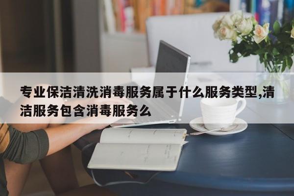 专业保洁清洗消毒服务属于什么服务类型,清洁服务包含消毒服务么