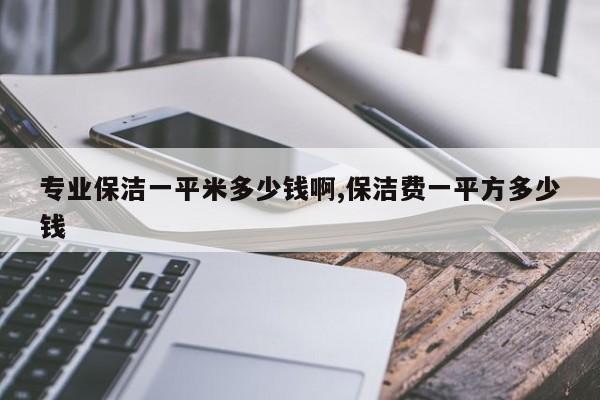 专业保洁一平米多少钱啊,保洁费一平方多少钱