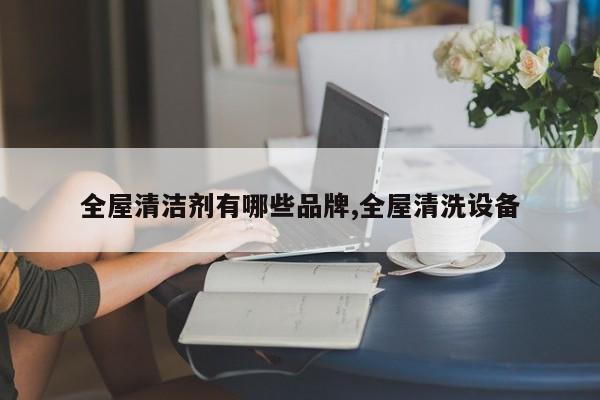 全屋清洁剂有哪些品牌,全屋清洗设备