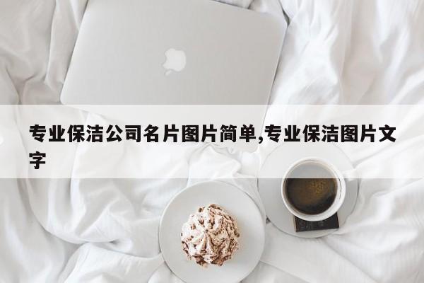 专业保洁公司名片图片简单,专业保洁图片文字