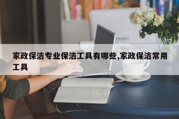 家政保洁专业保洁工具有哪些,家政保洁常用工具
