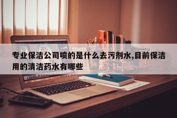 专业保洁公司喷的是什么去污剂水,目前保洁用的清洁药水有哪些